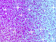 1a (21)